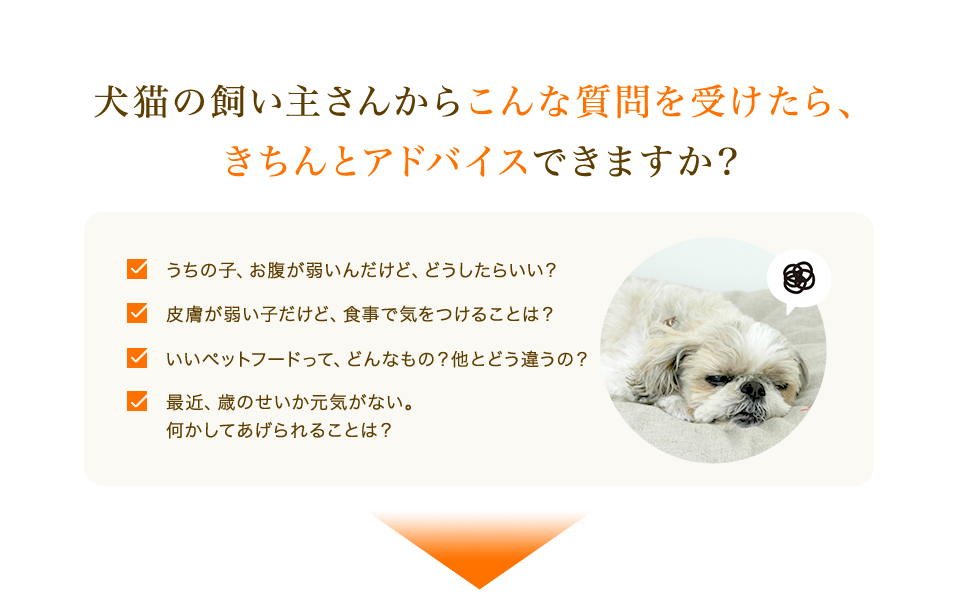 犬猫の飼い主さんからこんな質問を受けたら、きちんとアドバイスできますか？