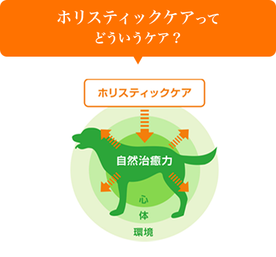 ホリスティックケアってどういうケア？