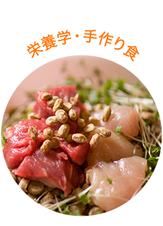 栄養学・手作り食