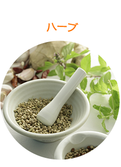 ハーブ