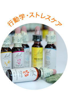 行動学・ストレスケア