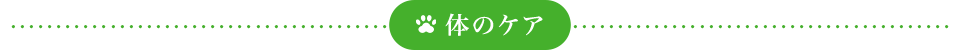 体のケア