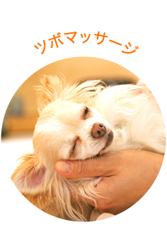 ツボマッサージ 