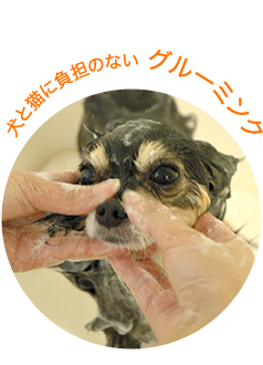 犬と猫に負担のない グルーミング 