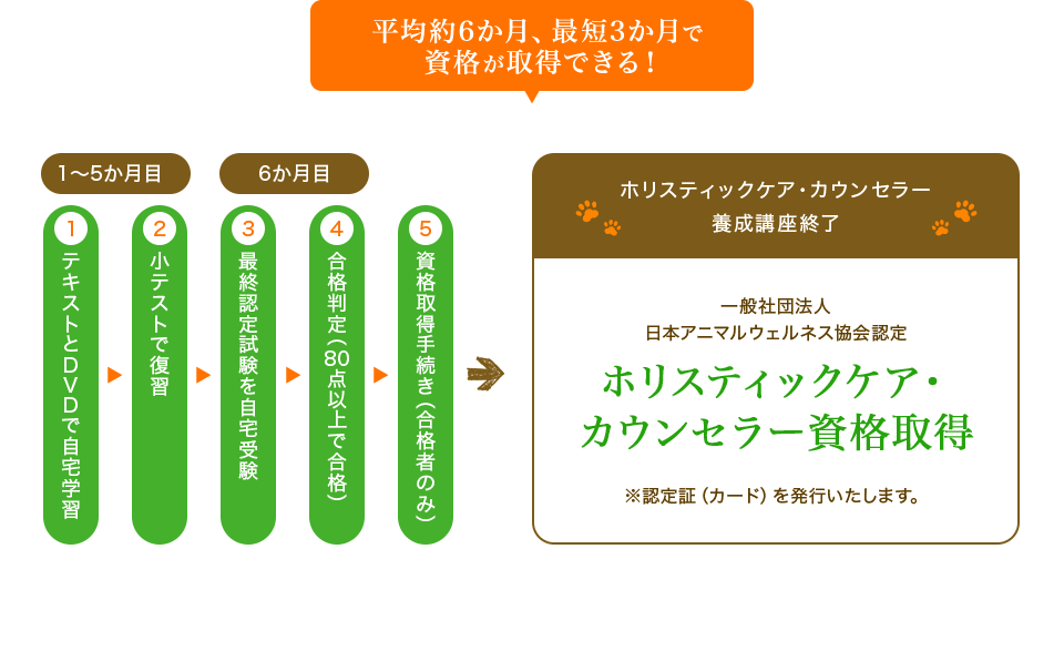 平均約6か月、最短3か月で 資格が取得できる！