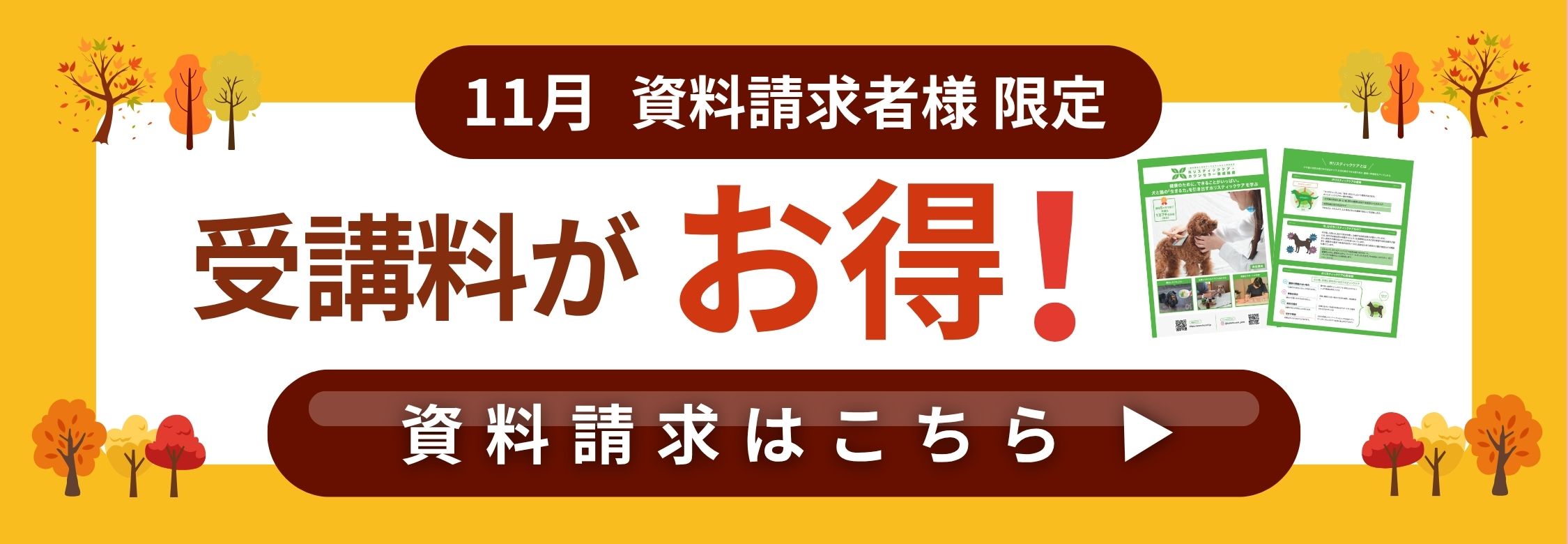 今だけ割引キャンペーン