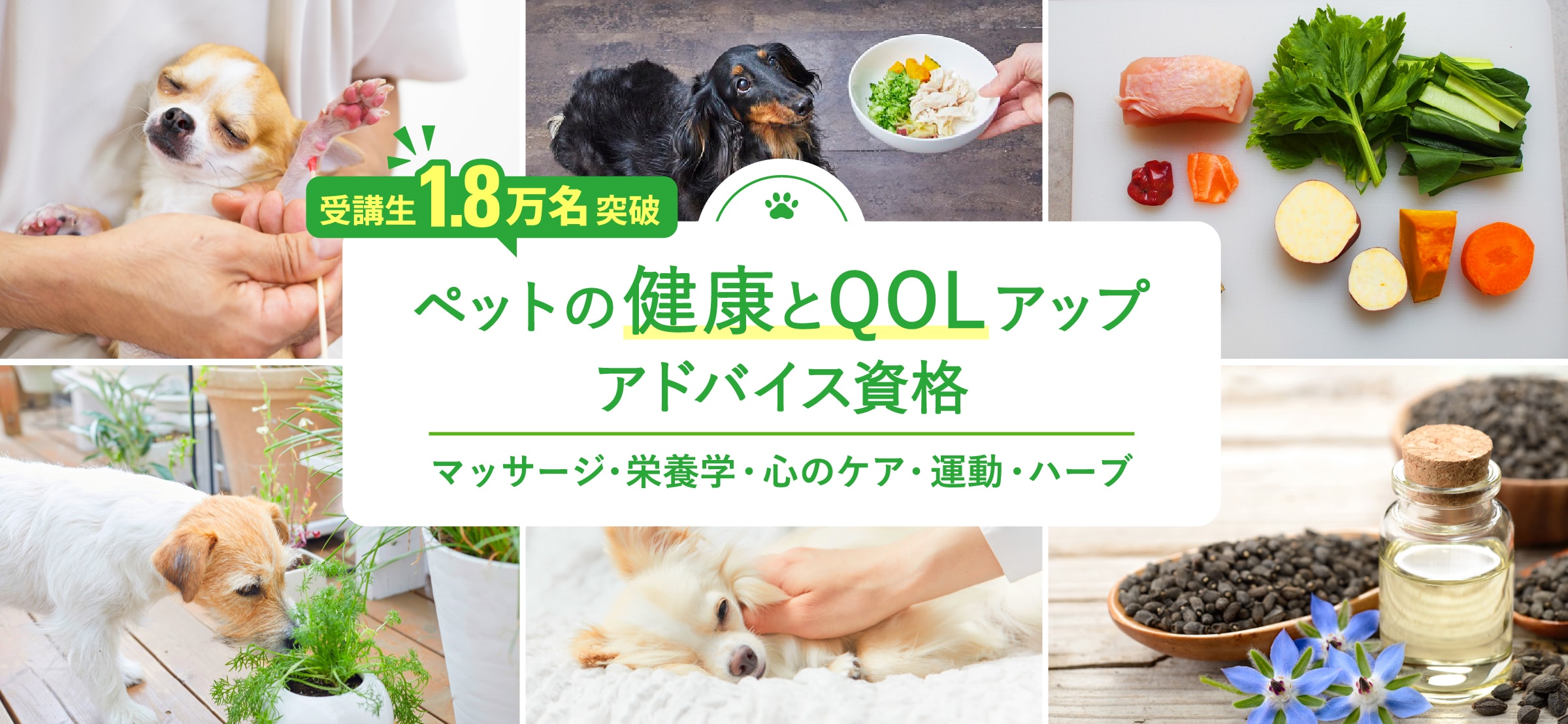 ホリスティックアニマルケアカウンセラー　通信講座教材 愛犬のおうちケア」「ペットのお仕事」に役立つ2つの資格講座