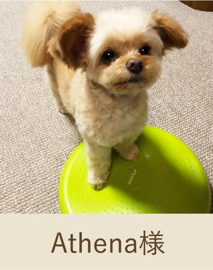 Athena様