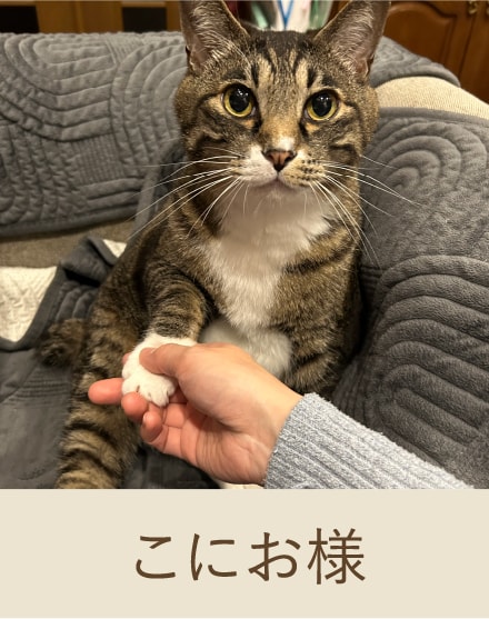 こにお様
