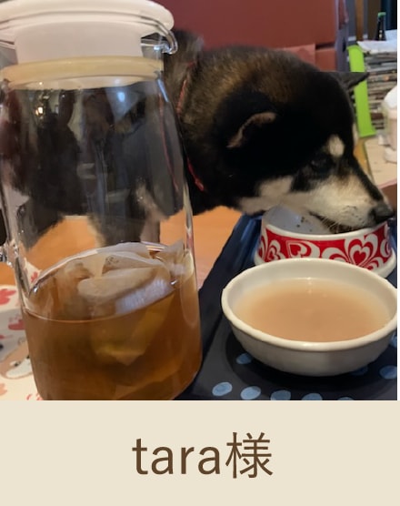 tara様