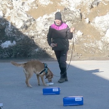 犬のすごい能力に気づく ノーズワーク の世界へようこそ Vol 2