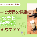 植物パワーで犬猫お健康に、フィトセラピーってどんなケア