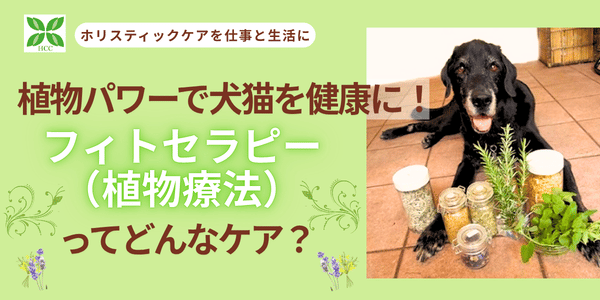 植物パワーで犬猫お健康に、フィトセラピーってどんなケア