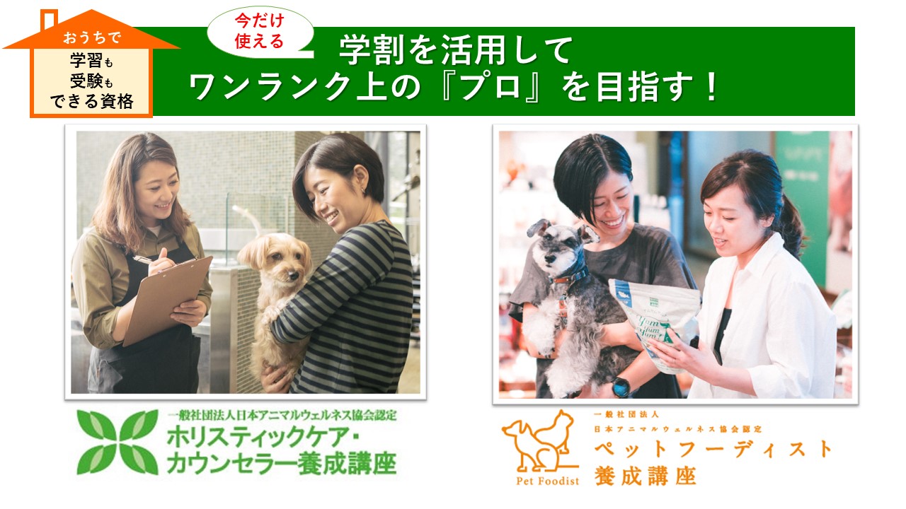 一般社団法人日本ホリスティックカウンセラー協会の地図 Goo地図