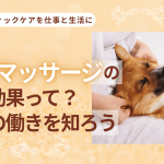 犬猫のリンパマッサージの目的や効果って?2