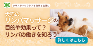 犬猫のリンパマッサージの目的や効果って？