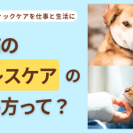 犬と猫のストレスケアの始め方って？