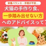 犬猫の手作り食一歩踏み出せない方へのアドバイスって
