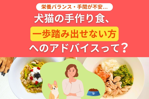 犬猫の手作り食一歩踏み出せない方へのアドバイスって