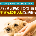 介護される犬猫のQOL向上が飼い主にも大切な理由とは