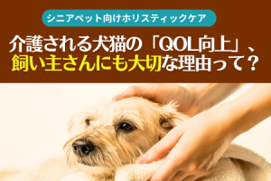介護される犬猫のQOL向上が飼い主にも大切な理由とは