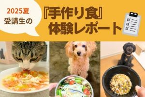 2025夏受講生の手作り食体験レポート