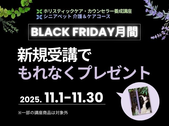 ブラックフライデー2025