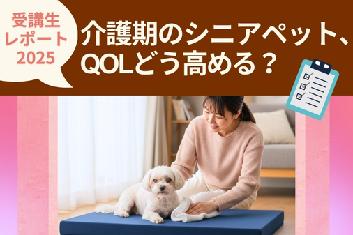 介護期のシニアペットQOLをどう高める