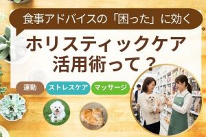 食事アドバイスの困ったに効くホリスティックケア活用術って？