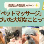 ペットマッサージで気づいた大切なことって?
