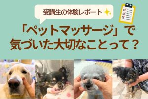 ペットマッサージで気づいた大切なことって？