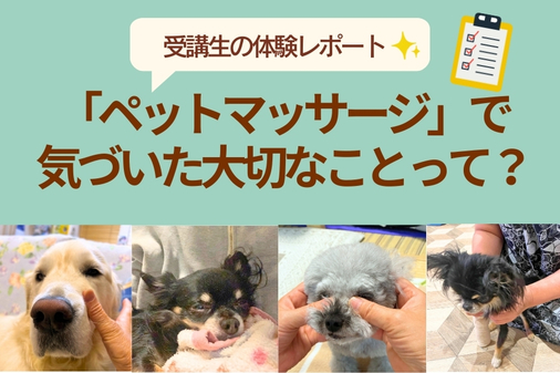 ペットマッサージで気づいた大切なことって？