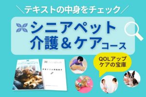 シニアペット介護＆ケアコースの中身をチェック