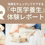 中医学養生体験レポート2025