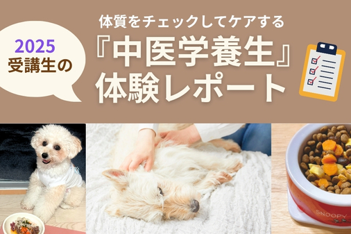 中医学養生体験レポート2025