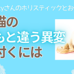 犬や猫のいつもと違う異変に気付くには