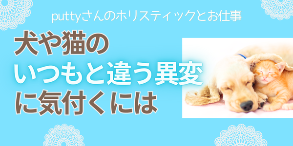 犬や猫のいつもと違う異変に気付くには
