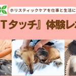 2025下期受講生のTタッチレポート