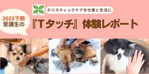 2025下期受講生のTタッチレポート