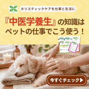 中医学養生の知識はペットの仕事でこう使う