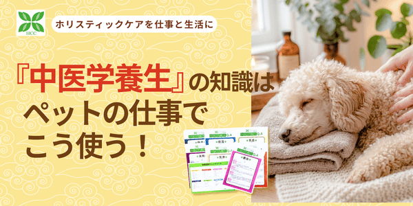 中医学養生の知識、ペットの仕事でこう使う!