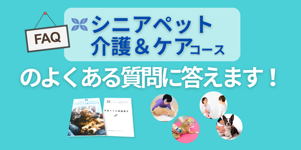 シニアペット介護＆ケアコースのよくある質問に答えます (2)