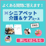 シニア講座のよくある質問にこたえます