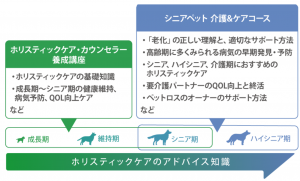 シニアとHCCのカリキュラム範囲