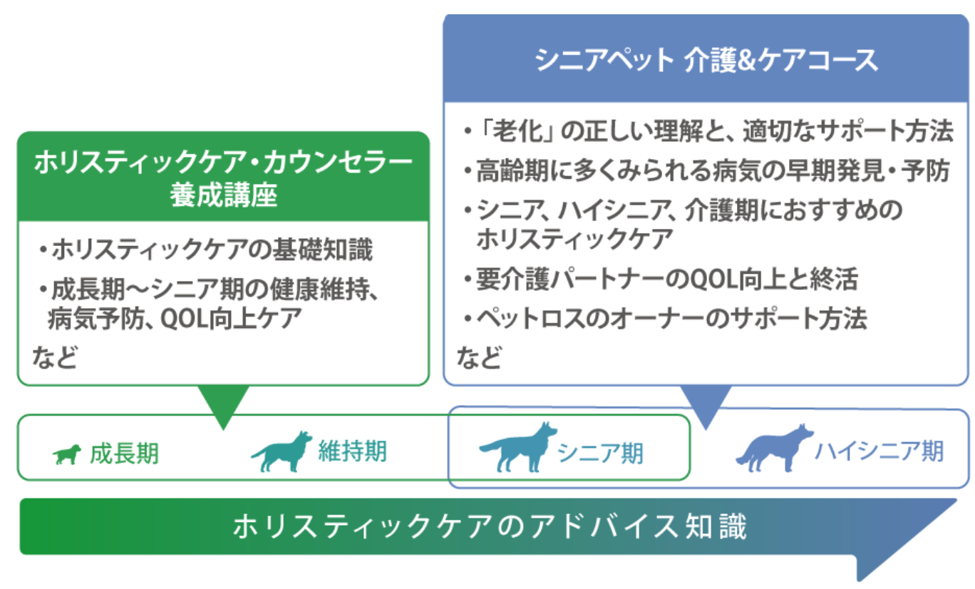 シニアとHCCのカリキュラム範囲