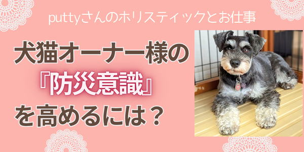 犬猫オーナーの防災意識を高めるには