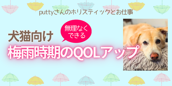 犬猫向け梅雨時期のQOLアップ