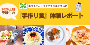 ホリチャレ手作り食レポート2026上期