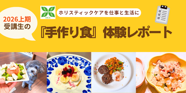 ホリチャレ手作り食レポート2026上期