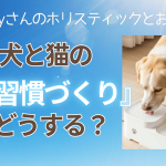 犬と猫の飲水習慣作りってどうする?